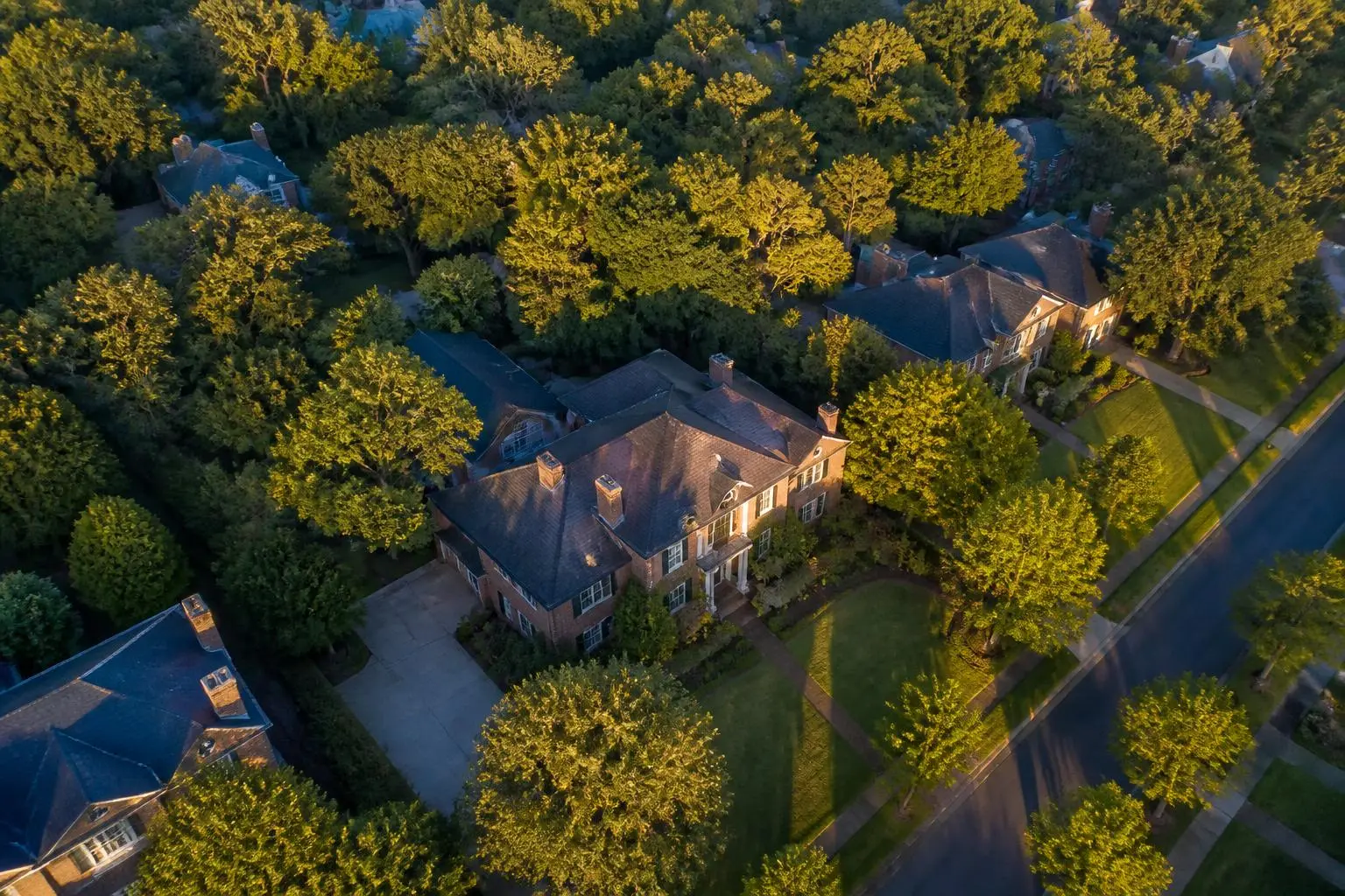 Aerial view of a mature tree canopy over a historic Charlotte neighborhood at golden hour